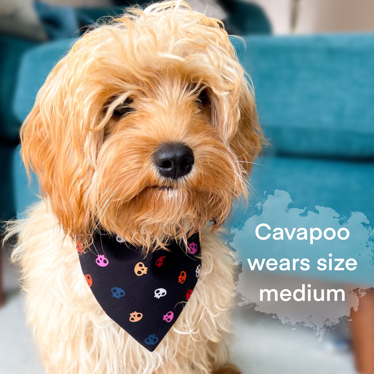 Skull Print Halloween Dog Bandana