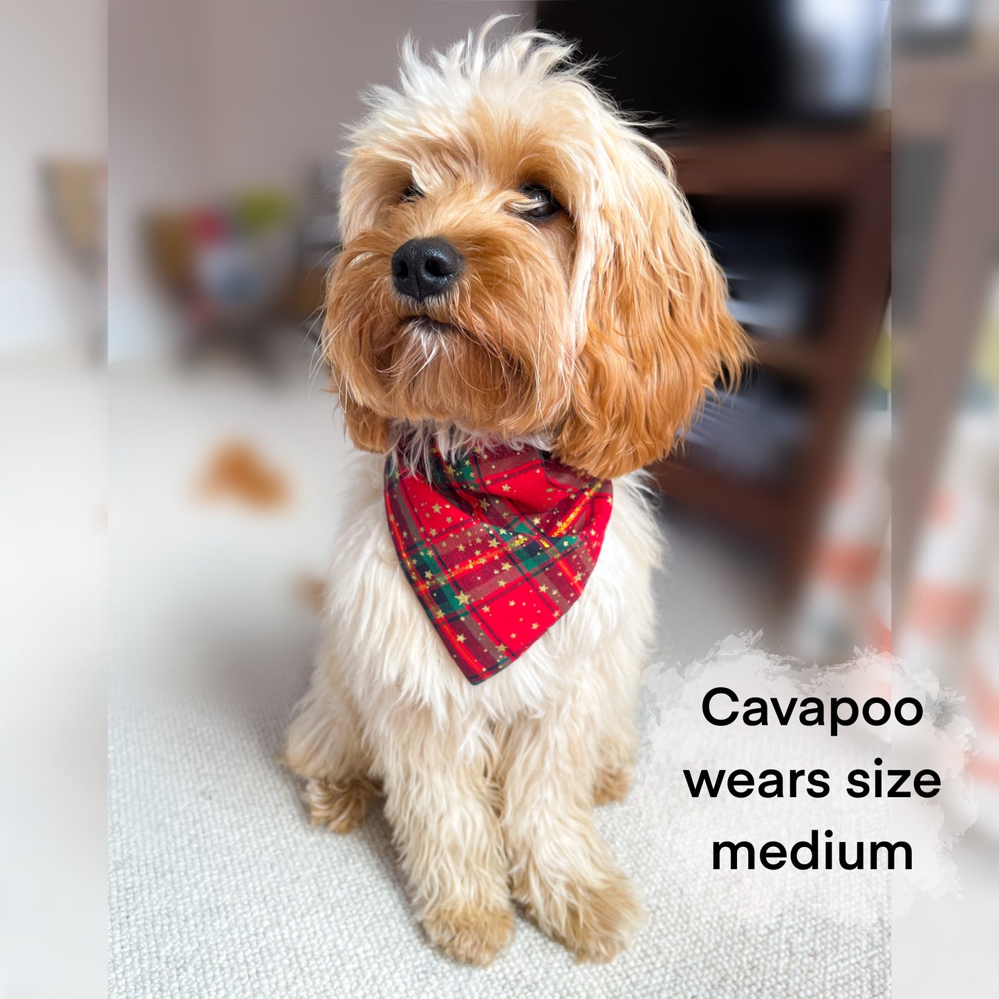Christmas Personalised Tartan Dog Bandana