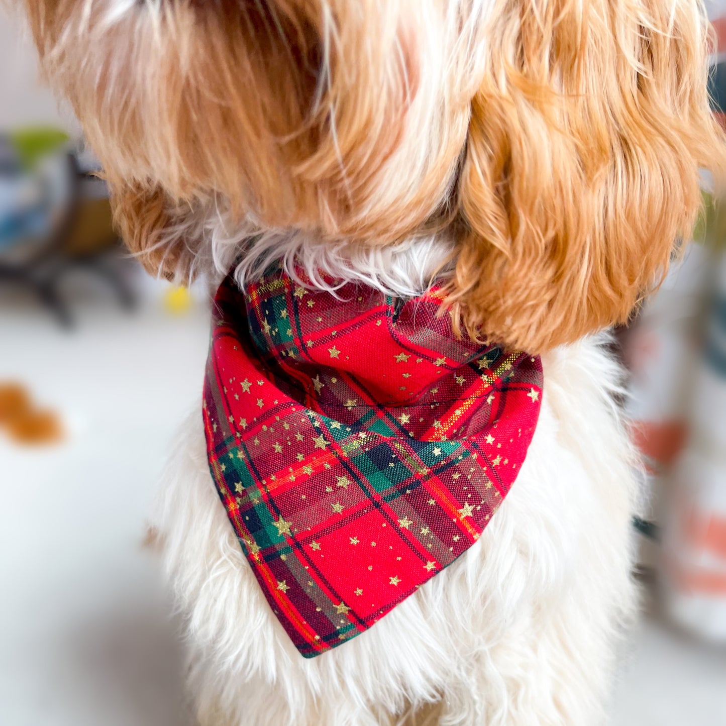 Christmas Tartan Dog Bandana